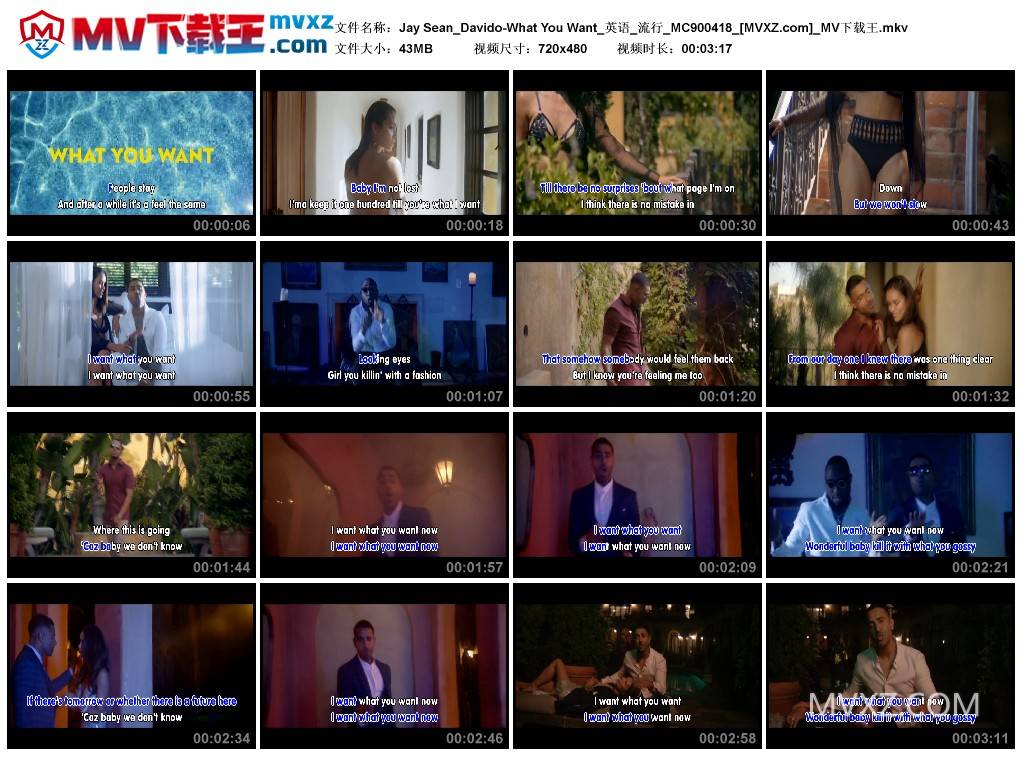 Jay Sean_Davido-What You Want_英语_流行_MC900418